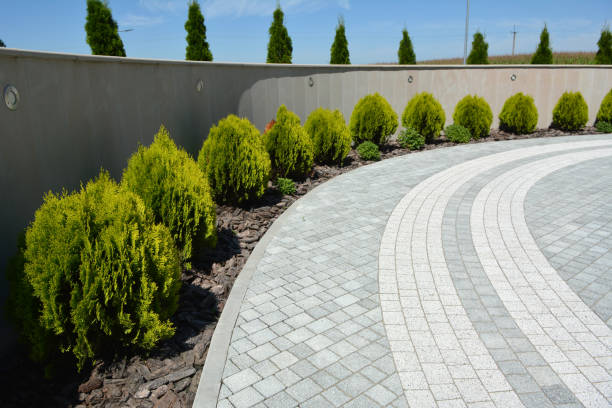 Best Professional Driveway Pavers  in Moenkopi, AZ